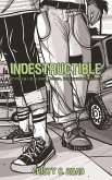 Indestructible (eBook, ePUB)
