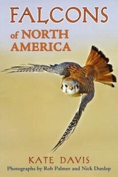 Cover Falcons of North America (eBook, ePUB)