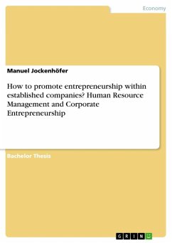 How to promote entrepreneurship within established companies? Human Resource Management and Corporate Entrepreneurship (eBook, ePUB)