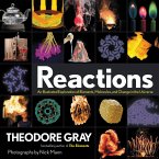 Reactions (eBook, ePUB)