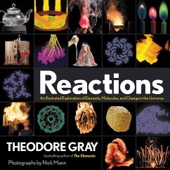 Reactions (eBook, ePUB) - Gray, Theodore