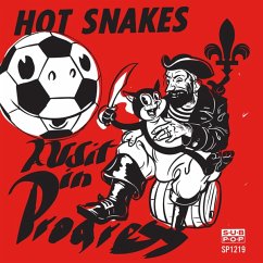 Audit In Progress - Hot Snakes Audit In Progress - Hot Snakes