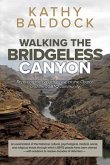 Walking the Bridgeless Canyon (eBook, ePUB)