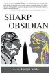 Sharp Obsidian (eBook, ePUB) - Bild 1