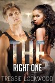 The Right One (The Johansson Brothers, #3) (eBook, ePUB)