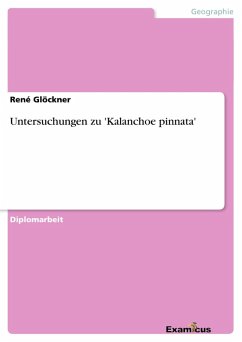 Untersuchungen zu 'Kalanchoe pinnata' (eBook, ePUB)