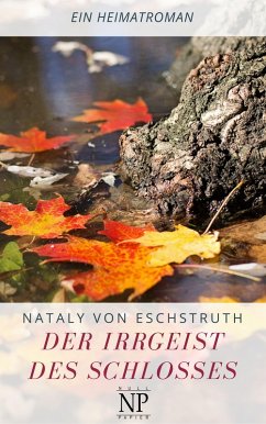 Cover Der Irrgeist des Schlosses (eBook, PDF)