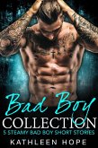 Bad Boy Collection: 5 Steamy Bad Boy Short Stories (eBook, ePUB) Bad Boy Collection: 5 Steamy Bad Boy Short Stories (eBook, ePUB)