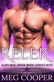 Relek (Love Across the Universe, #4) (eBook, ePUB)