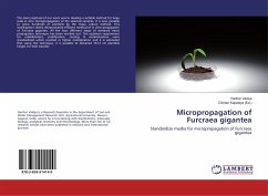 Micropropagation of Furcraea gigantea