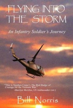 Flying Into The Storm (eBook, ePUB) - Norris, Bill