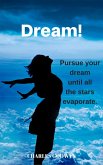 Dream! (eBook, ePUB)