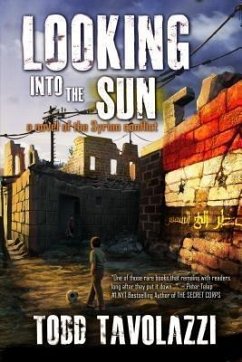 Looking into the Sun (eBook, ePUB) - Tavolazzi, Todd
