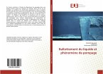 Ballottement du liquide et phénomène de pompage