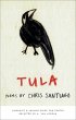 Tula (eBook, ePUB) - Bild 1