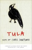 Tula (eBook, ePUB)