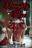Naughty And Nice (eBook, ePUB)