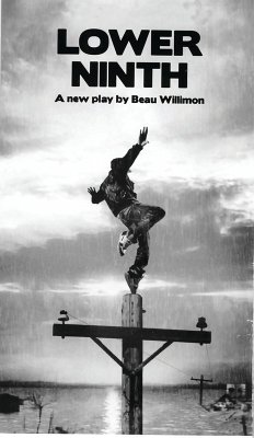 Cover Lower Ninth (eBook, ePUB)