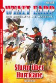 Sturm über Hurricane (eBook, ePUB)