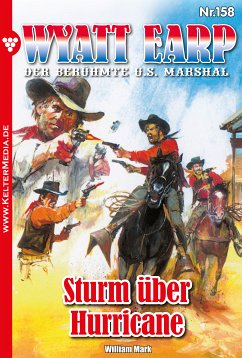 Sturm über Hurricane (eBook, ePUB) - Mark, William; William, Mark