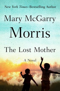 Cover The Lost Mother (eBook, ePUB)