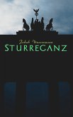 Sturreganz (eBook, ePUB)