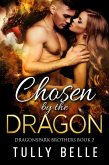 Chosen by the Dragon (Dragonspark Brothers, #2) (eBook, ePUB)