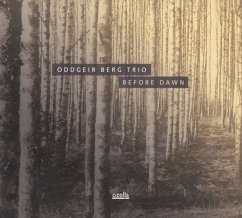 Before Dawn - Berg,Oddgeir Trio