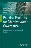 Practical Panarchy for Adaptive Water Governance