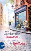 Mein wundervoller Antikladen im Schatten des Eiffelturms / Paris Love Bd.2 (eBook, ePUB)