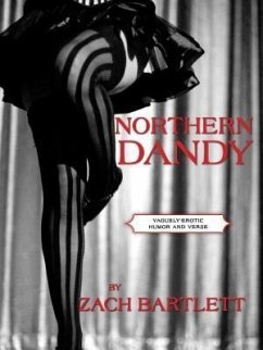 Cover Northern Dandy (eBook, ePUB)