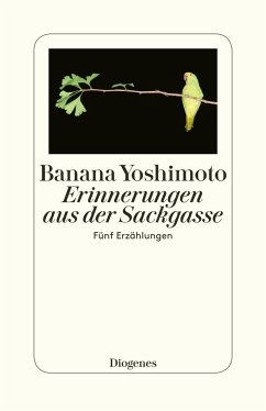 Erinnerungen aus der Sackgasse - Yoshimoto, Banana
