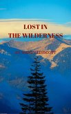 Lost in the Wilderness (eBook, ePUB)