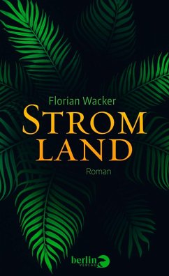 Stromland (eBook, ePUB) - Wacker, Florian