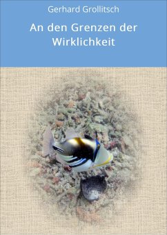 An den Grenzen der Wirklichkeit (eBook, ePUB) - Grollitsch, Gerhard