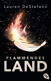 Flammendes Land / Morgan Bd.2 (eBook, ePUB)