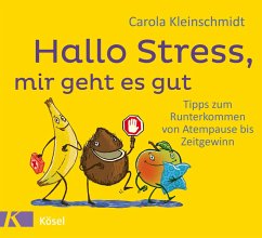 Hallo Stress, mir geht es gut (eBook, ePUB) - Kleinschmidt, Carola