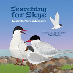 Searching for Skye - Clarke, Gail