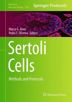 Sertoli Cells