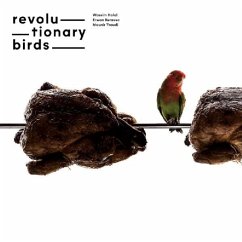 Revolutionary Birds Cover Revolutionary Birds