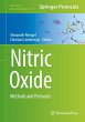 Nitric Oxide - Bild 1