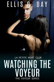 Watching the Voyeur (eBook, ePUB)