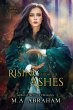 Rising From The Ashes (eBook, ePUB) - Bild 1