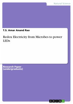 Redox Electricity from Microbes to power LEDs (eBook, ePUB) Redox Electricity from Microbes to power LEDs (eBook, ePUB)