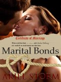 Marital Bonds (eBook, ePUB)