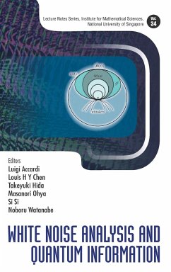 White Noise Analysis and Quantum Information - Luigi Accardi, Louis Chen Takeyuki Hida