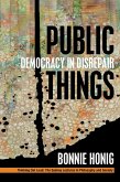 Public Things (eBook, ePUB)