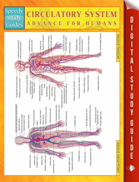 Circulatory System Advanced For Humans (eBook, ePUB) Circulatory System Advanced For Humans (eBook, ePUB)