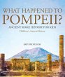 What Happened to Pompeii? Ancient Rome... - Bild 1