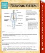 Nervous System (eBook, ePUB) - Bild 1